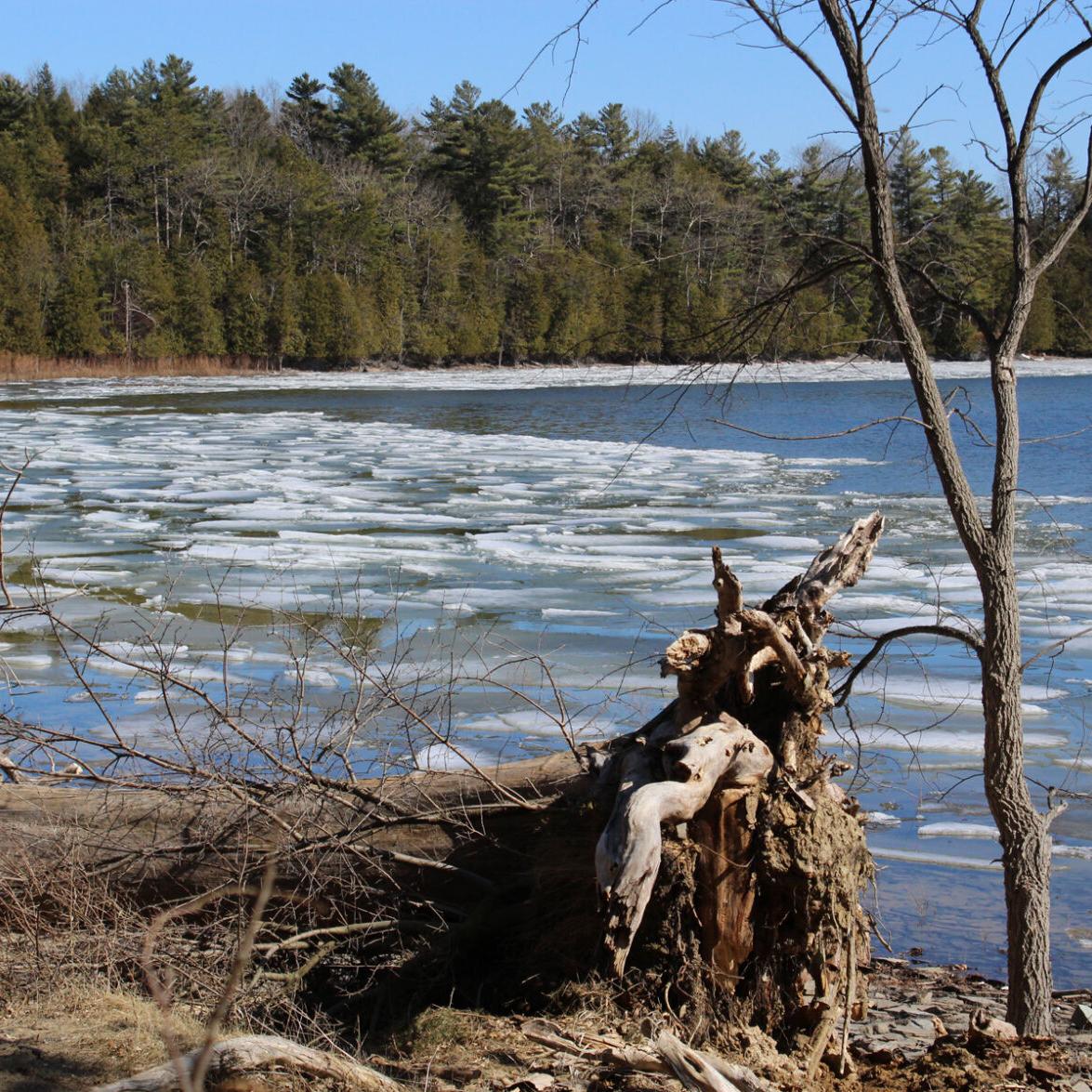 Scenes from the North Country: Point Au Roche Ice
